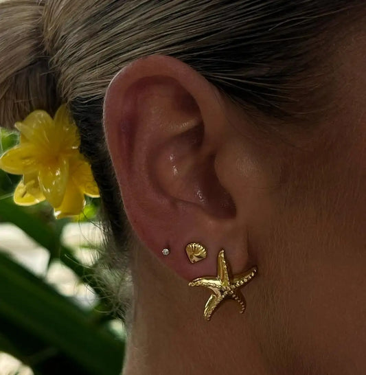 Boucle D'oreille Coquillage Acier Inoxydable Lot De 3