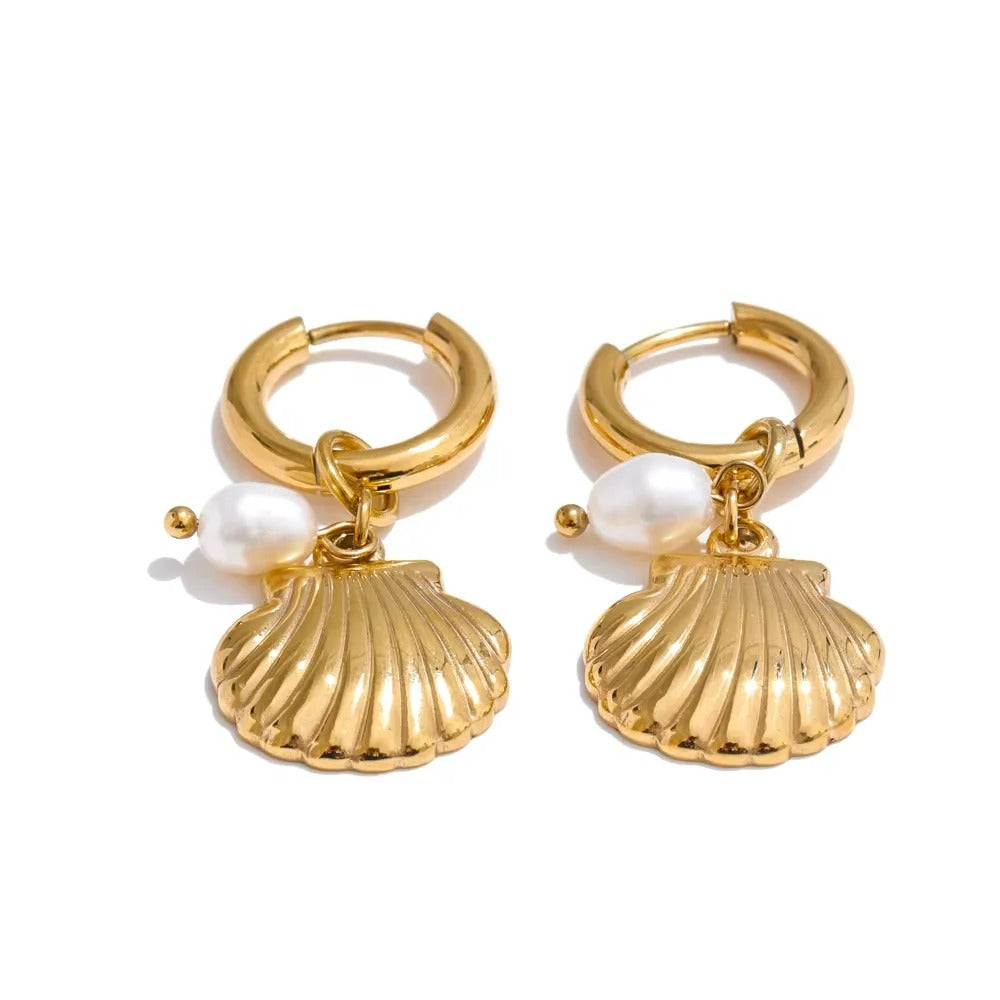 Boucle D'oreille Coquillage Créole Acier Inoxydable