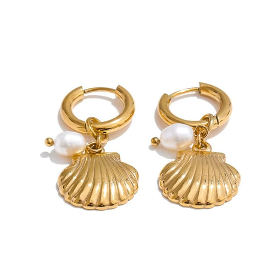 Boucle D'oreille Coquillage Créole Acier Inoxydable
