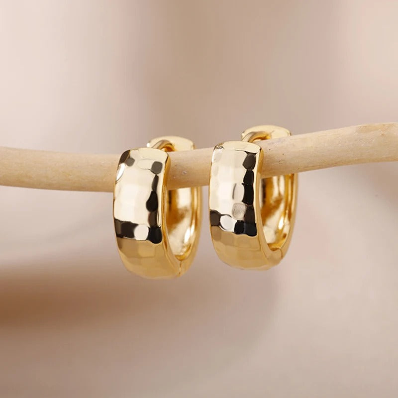 Boucle D'oreille Créole Martelée en Acier Inoxydable, présentée sur une petite branche de bois.