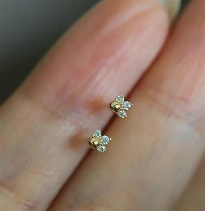 Boucle D'oreille Puce Argent Et Zircon Étincelante