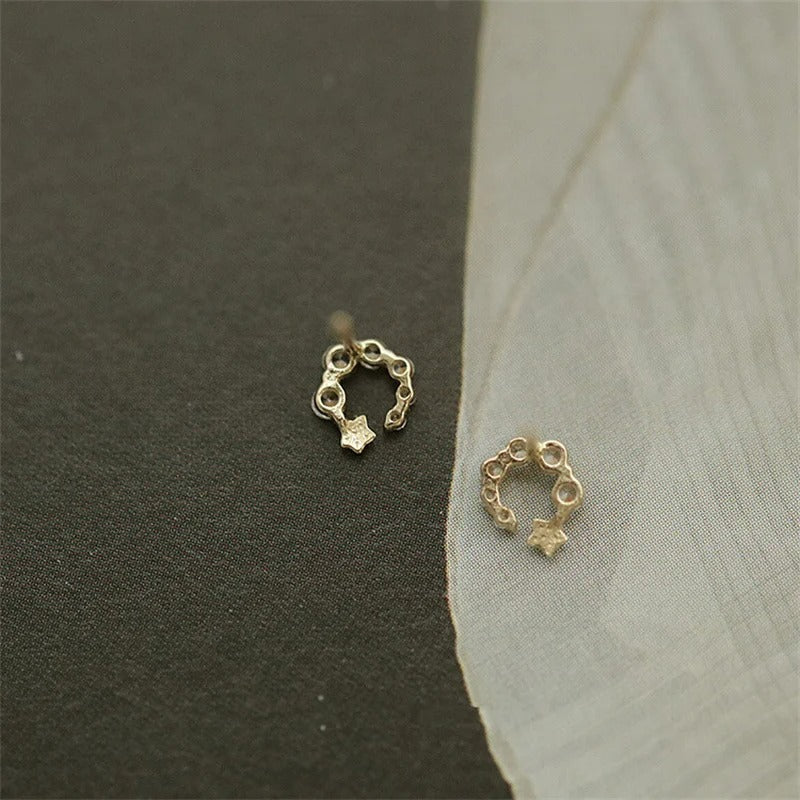 Boucle D'oreille Puce Cercle Étoilé En Argent Image