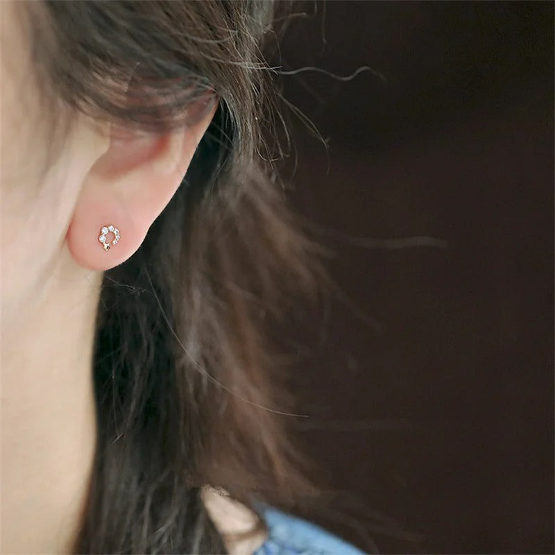 Boucle D'oreille Puce Cercle Étoilé En Argent Image