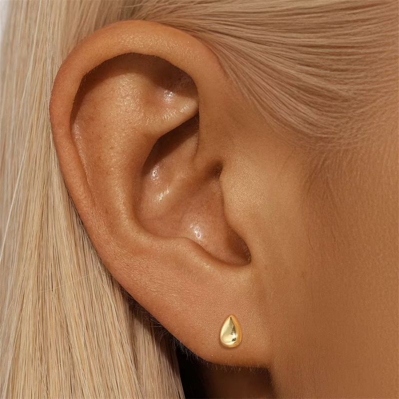 Boucle D'oreille Puce Goutte En Argent Image