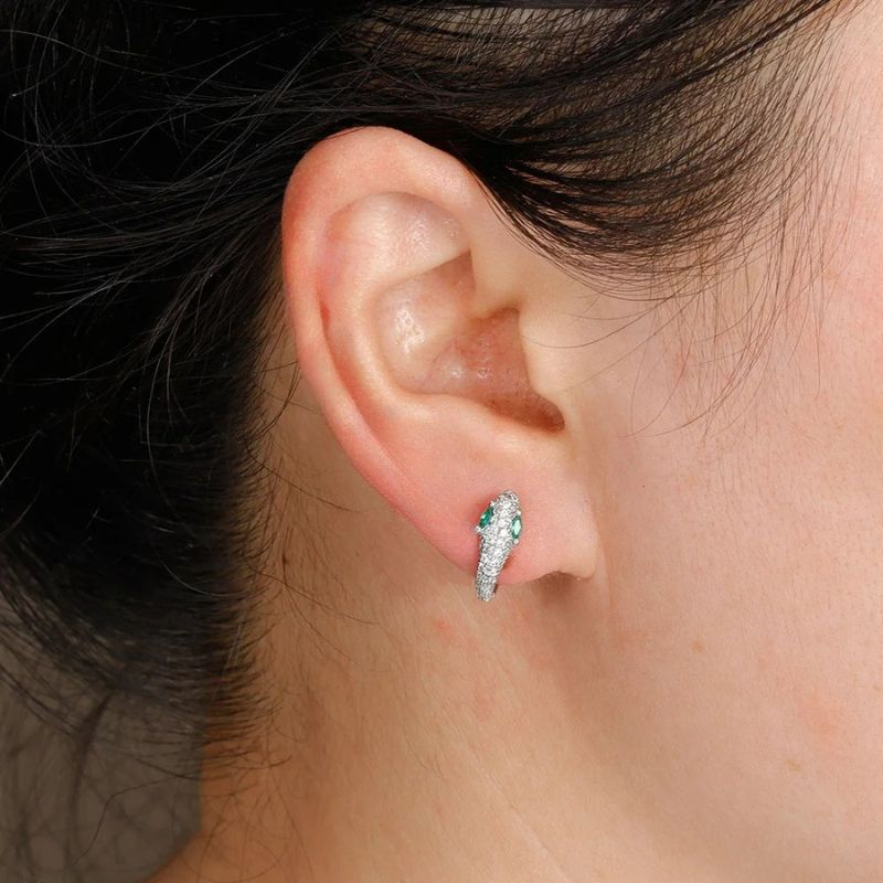Boucle D'oreille Serpent En Acier Inoxydable Image