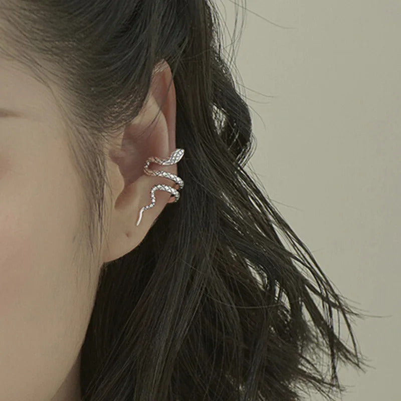 Boucle D'oreille Serpent Design Argenté Image