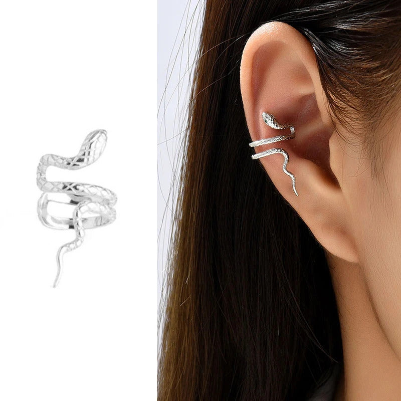 Boucle D'oreille Serpent Design Argenté Image