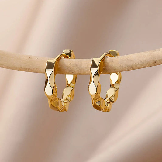Boucle d'Oreille Femme Acier Inoxydable Créole Ronde Vintage sur une branche