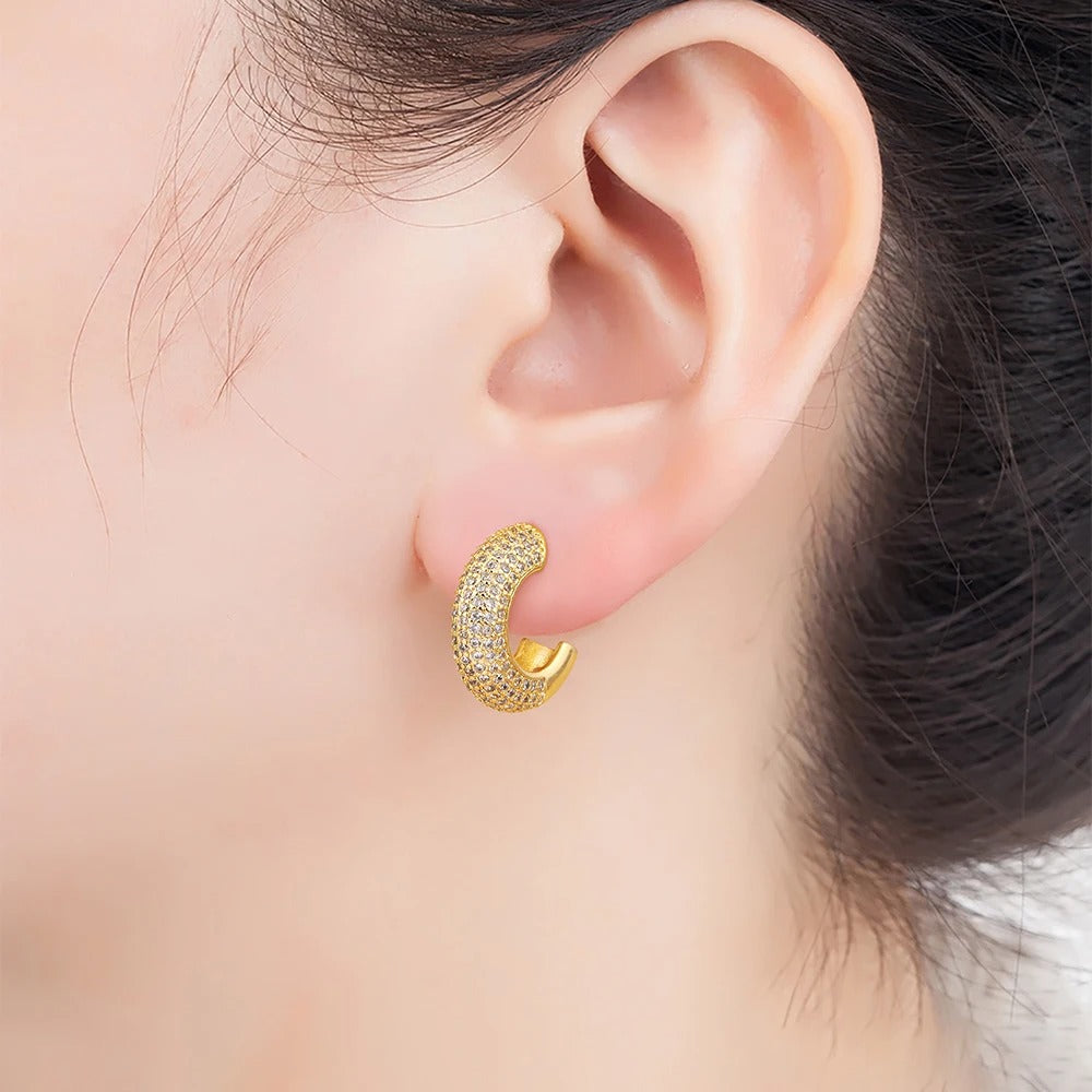 Boucle d'Oreille Luxe Brillante sur l'oreille d'une personne Image
